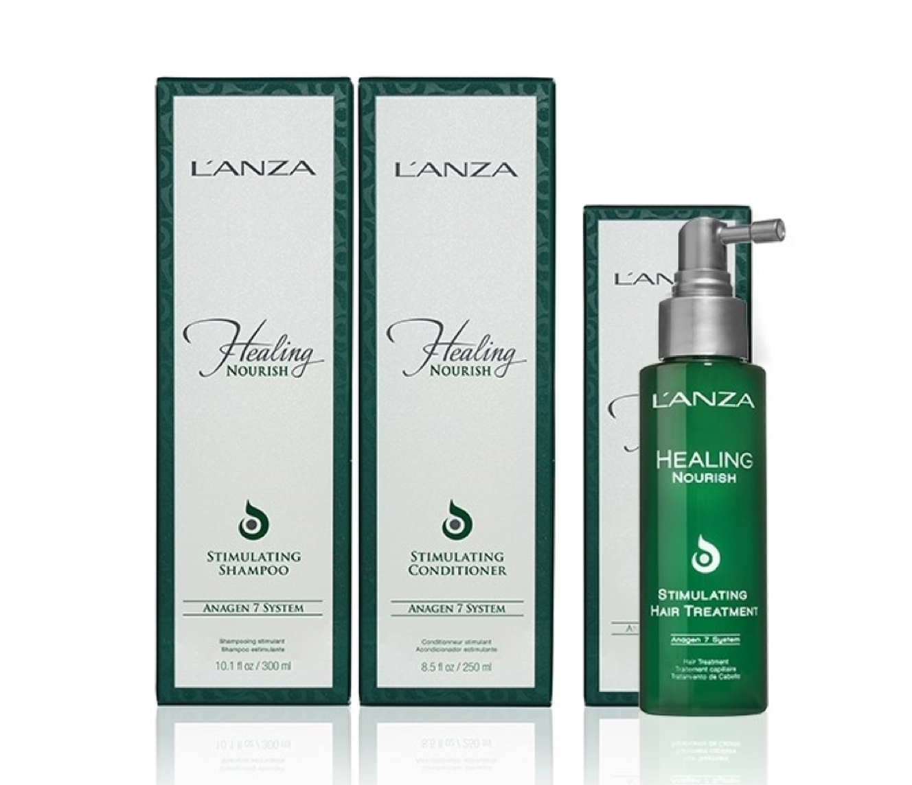 L'ANZA